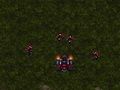 لعبة Starcraft 3  على الانترنت