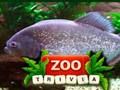 لعبة ZOO ﺕﺎﻫﺎﻔﺗ  على الانترنت