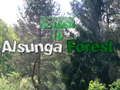 لعبة Alsunga ﺔﺑﺎﻏ ﻰﻟﺇ ﺓﺩﻮﻌﻟﺍ  على الانترنت