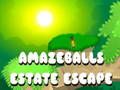 لعبة Amazeballs Estate ﺏﻭﺮﻬﻟﺍ  على الانترنت