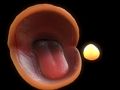 لعبة ﻥﺎﻣ ﻙﺎﺑ  على الانترنت