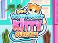 لعبة Doc HoneyBerry Kitty ﺔﺣﺍﺮﺟ  على الانترنت