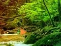لعبة ﺡﺰﻗ ﺱﻮﻗ ﺔﺑﺎﻏ ﻦﻣ ﻲﻤﻠﺴﻟﺍ ﺏﻭﺮﻬﻟﺍ  على الانترنت