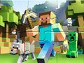 لعبة Minecrafter :ﺔﻋﻮﻄﻘﻤﻟﺍ ﺭﻮﺼﻟﺍ ﺔﻴﺠﺣﺃ  على الانترنت
