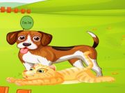 لعبة Bunny Key Quest على الانترنت لعبة Bunny Key Quest على الانترنت