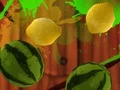 لعبة Fruit Break على الانترنت