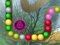 لعبة Lost Island على الانترنت