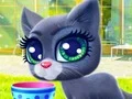 لعبة Happy Cat على الانترنت