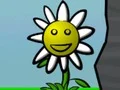 لعبة Flower Power على الانترنت