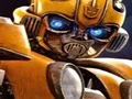 لعبة Bumblebee Hidden Spots على الانترنت