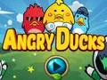 لعبة Angry Ducks على الانترنت