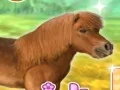 لعبة My Dear Pony على الانترنت