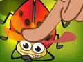 لعبة Insect Cush على الانترنت