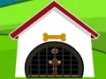 لعبة Ostrich Rescue على الانترنت