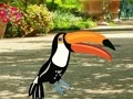 لعبة Find Woodpecker Pair على الانترنت