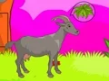 لعبة Wolf Escape على الانترنت
