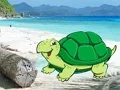 لعبة Beach Crab Pair Escape على الانترنت