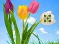 لعبة Flower Lawn Escape على الانترنت