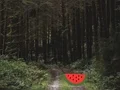 لعبة Dense Forest Deer Escape على الانترنت