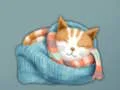 لعبة Adorable Escape Find Cute Kitten على الانترنت