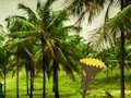 لعبة Escape From Coconut Land على الانترنت