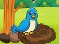 لعبة Assist to Mother Bird على الانترنت