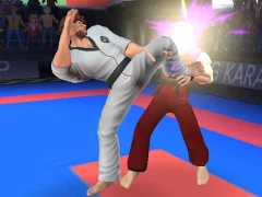لعبة Karate Fighter على الانترنت