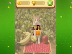 لعبة Farm Cat Memory Match على الانترنت