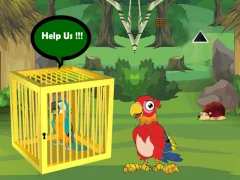 لعبة Release Trapped Macaw Buddy على الانترنت