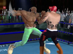 لعبة Real Boxing Fighting Game على الانترنت