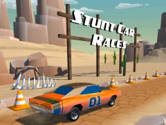 لعبة Stunt car Races على الانترنت