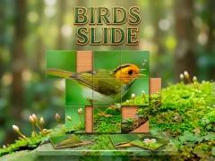 لعبة Birds Slide على الانترنت