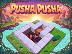لعبة Pusha Pusha على الانترنت