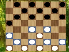 لعبة Classic Checkers: Forest على الانترنت