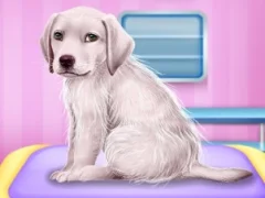 لعبة Labrador at the doctor salon على الانترنت
