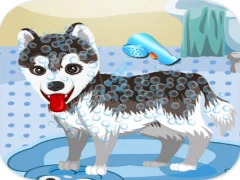لعبة My Cute Dog Bathing على الانترنت