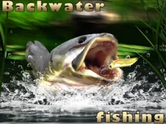 لعبة Backwater Fishing على الانترنت