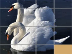 لعبة Animals Slide Puzzle على الانترنت