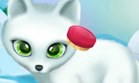 لعبة Paws to Beauty Arctic Edition على الانترنت