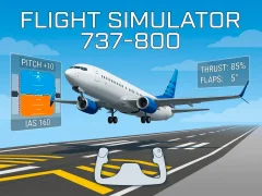 لعبة Flight Simulator 737-800 على الانترنت