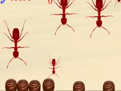 لعبة Smash All Ants على الانترنت