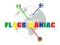 لعبة Flags Maniac على الانترنت