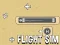 لعبة Flight Sim على الانترنت