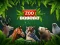 لعبة ZOO Trivia على الانترنت