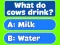 لعبة Trivia! Best Family Quiz على الانترنت