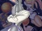 لعبة Space Jam على الانترنت