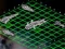 لعبة Intergalactic Battleships على الانترنت