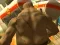 لعبة Monster Simulator على الانترنت