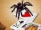 لعبة Jumping Spider على الانترنت