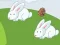 لعبة Crazy Eggs على الانترنت